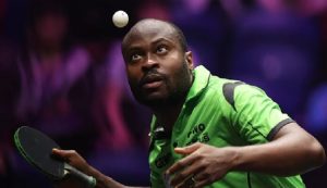 Quadri-Aruna-695×400