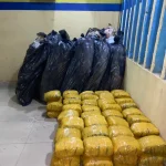 Police seize suspected Indian hemp, Canadian Loud, others in Ibadan