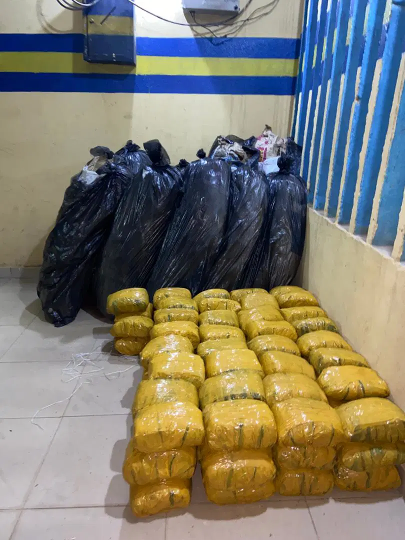 Police seize suspected Indian hemp, Canadian Loud, others in Ibadan