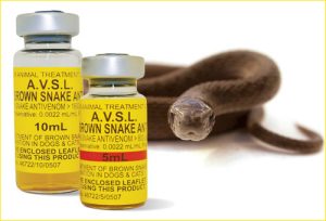 snake venom