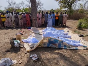 Woro killings: Senate calls for special forces to rout bandits
