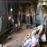 Cross River: Police recover eight dried corpses from local morgue