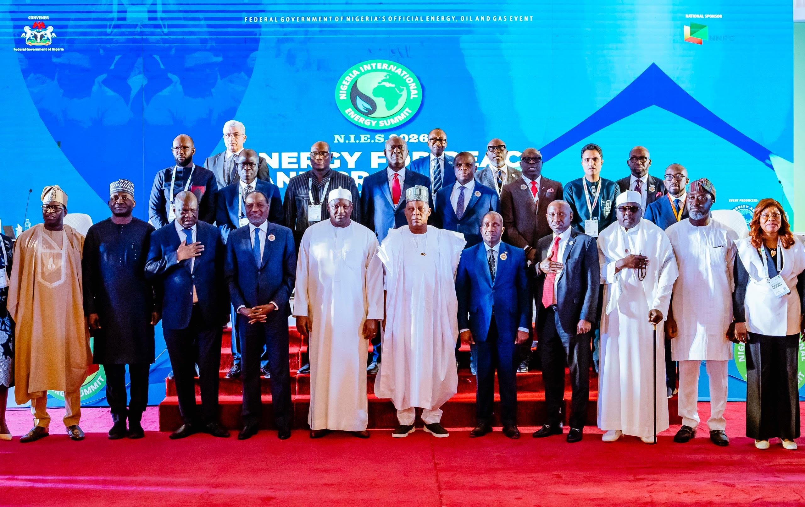 Nigeria leads Africa in energy revolution as Tinubu pledges affordable power with global partners