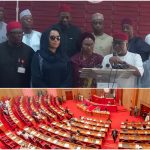 Section 60 row: Senators allege betrayal over e-transmission clause