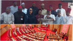 Section 60 row: Senators allege betrayal over e-transmission clause