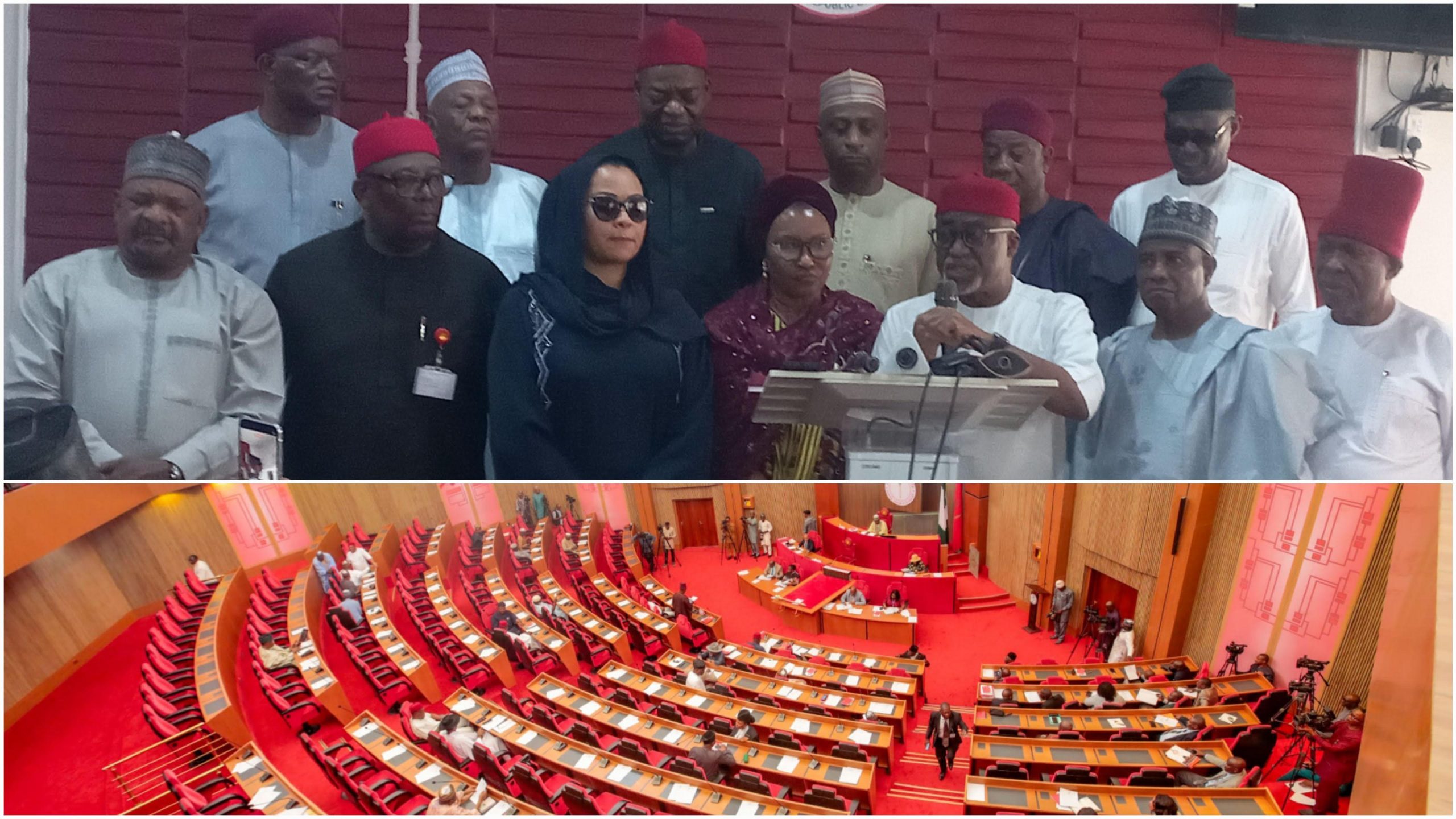 Section 60 row: Senators allege betrayal over e-transmission clause