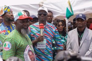 Ebonyi APC re-elects state working committee