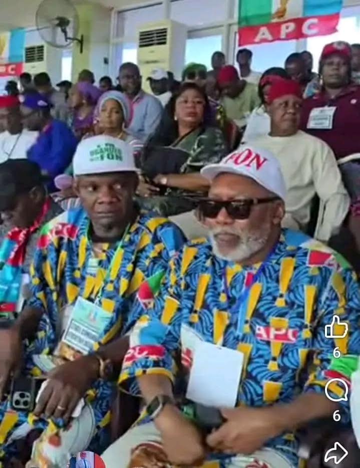Ebonyi APC re-elects state working committee