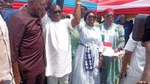 Anambra: Anosike elected APC state chairman