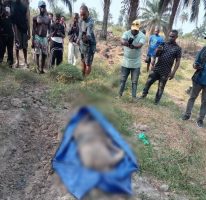 Rivers police arrest murder suspect, recover remains