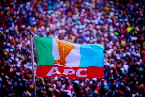 APC flag