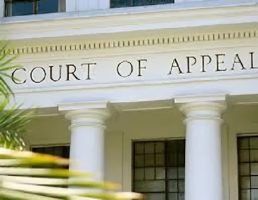 Appeal-court-