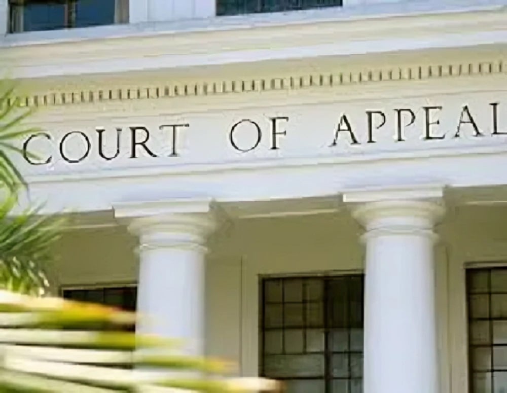 Appeal-court-