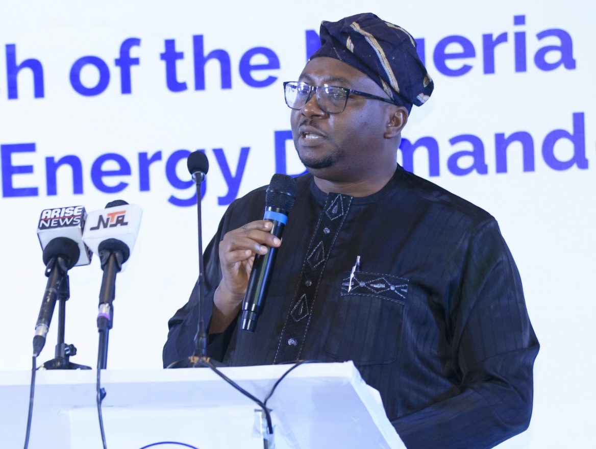 Minister of Power Bolaji Tunji