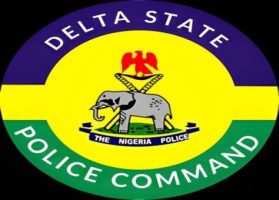 Delta-Police-474×340