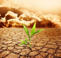 Climate change