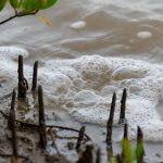 AI rendering of gas seepage in body of water (generated by Grok)
