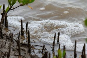 AI rendering of gas seepage in body of water (generated by Grok)