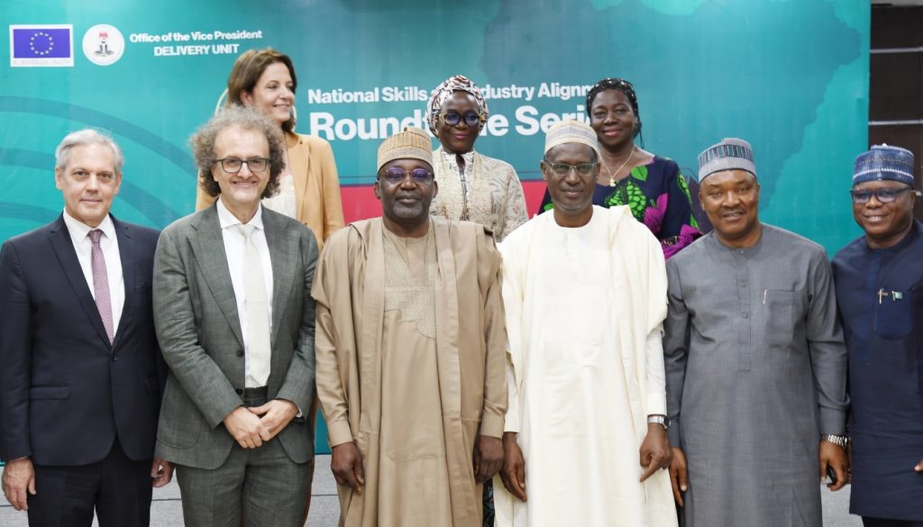 FG seeks global support for youth skills development