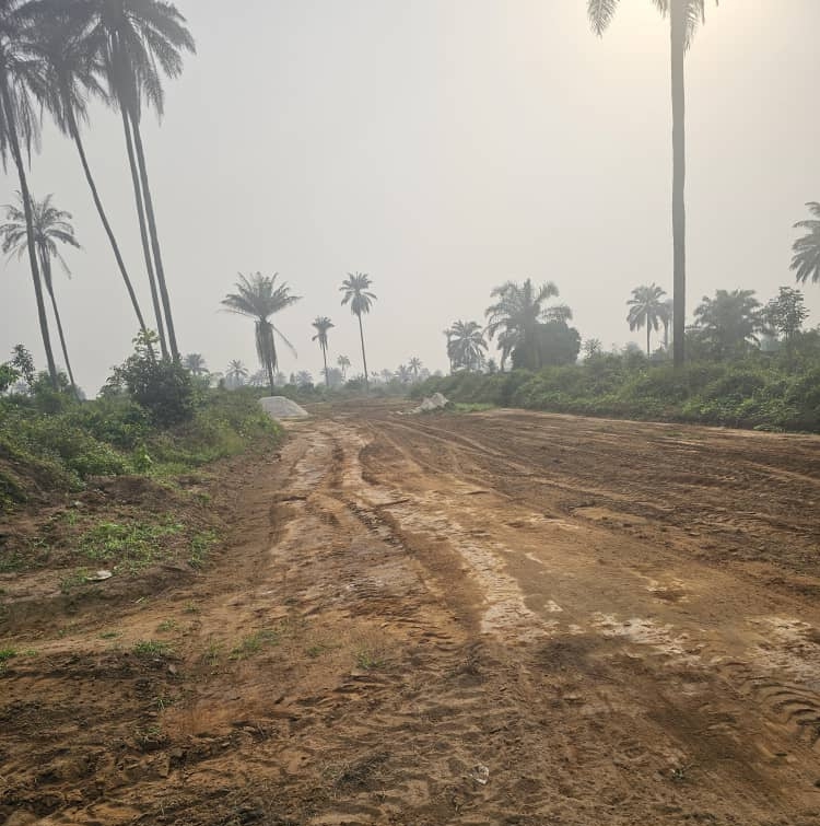King Appolus Chu unveils new roads, displaces kidnappers, drives Eleme's transformation