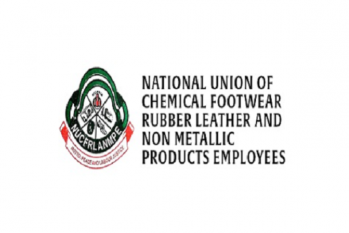 Labour accuses Chinese companies of running ‘slave camps’ in Sagamu