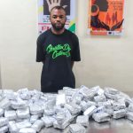 NDLEA intercepts opioids, meth concealed in cartons, jackets