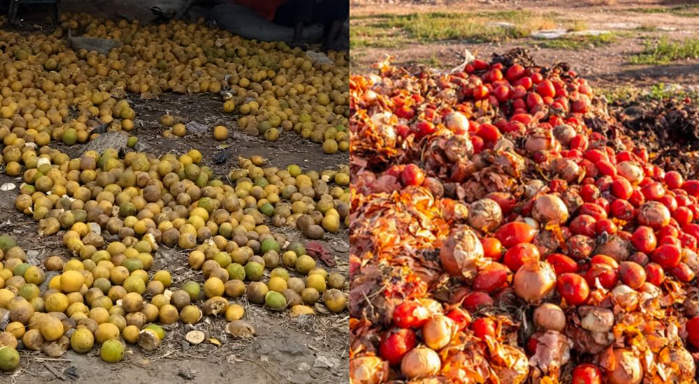 Post-harvest-losses