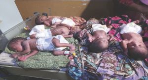 Quintuplets left behind by deceased mother