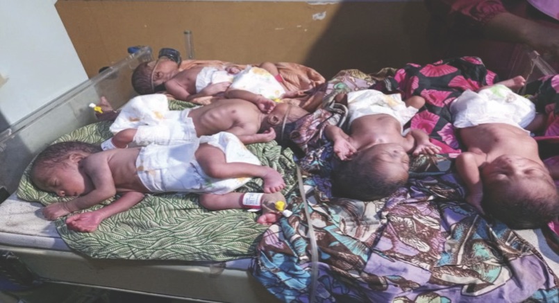 Quintuplets left behind by deceased mother
