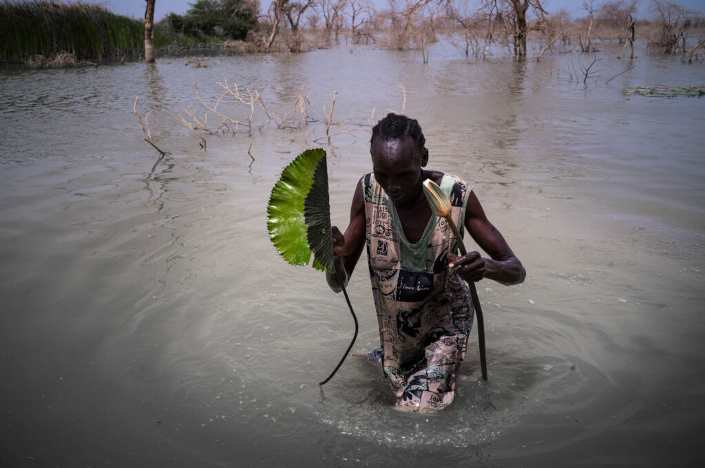 ReliefWeb-South-Sudan-Blog-Image-1024×680