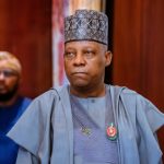Vice President Kassim Shettima