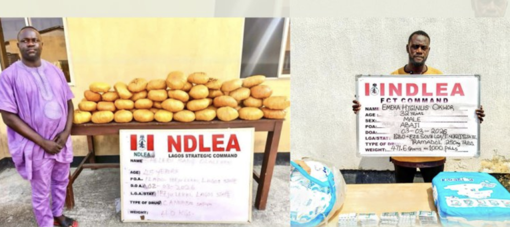 Ex-Lagos council chief held as NDLEA finds drugs in baby diapers
