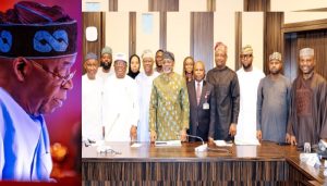 Tinubu-Inaugurates-11-Member-Committee-For-Grid-Asset-Management-Company