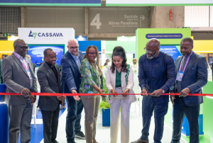 GSMA targets six African nations for affordable 4G smartphone pilots