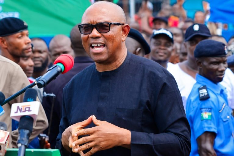2027 election is ‘govt vs people’ – Peter Obi