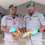 Wildlife trafficking: FOU Zone B Customs intercepts live pangolins