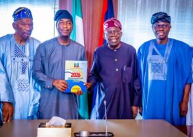 2027 Tinubu backs Obafemi Hamzat for Lagos governor
