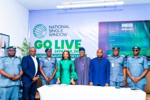 Expert calls for suspension of national single window over port gridlock