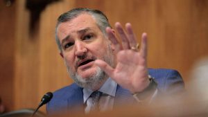 senior United States Lawmaker, Senator Ted Cruz,
