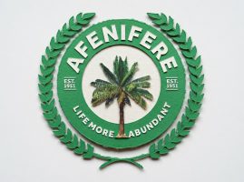 AFENIFERE LOGO