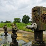 Nigeria loses $226bn revenue following oil suspension in Ogoniland: PINL