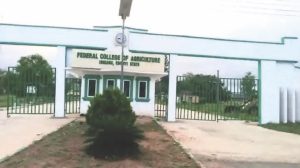 College gate
