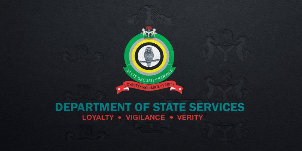 DSS LOGO