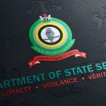 DSS LOGO