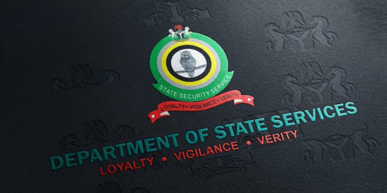 DSS LOGO