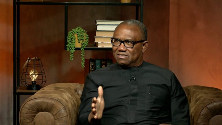 2027 election is ‘govt vs people’ – Peter Obi