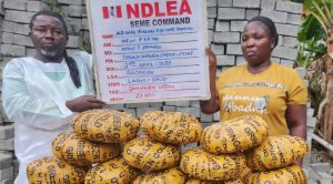 NDLEA arrests Lagos pastor, wife with 11kg skunk at Seme border