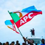 APC FLAGS