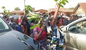 Protesting women in Plateau