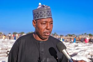 Borno State Governor Babagana Zulum